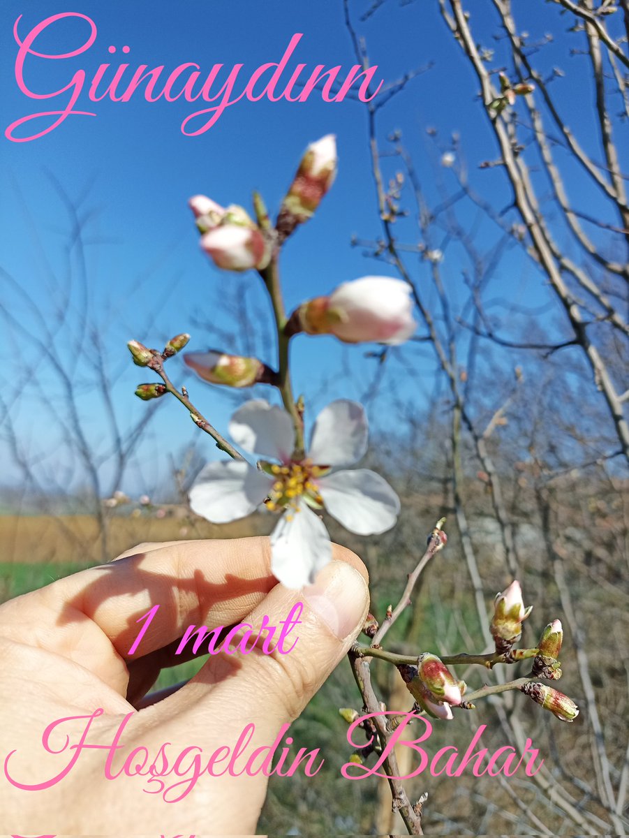 Mevsimin ismi gibi olsun İnşallah günlerimiz Hoşgeldin Bahar hoşgeldin Mart #1mart 🤗💙GÜNAYDINN💙🤗 #salı #SAVASAHAYIR #COVID19 😷