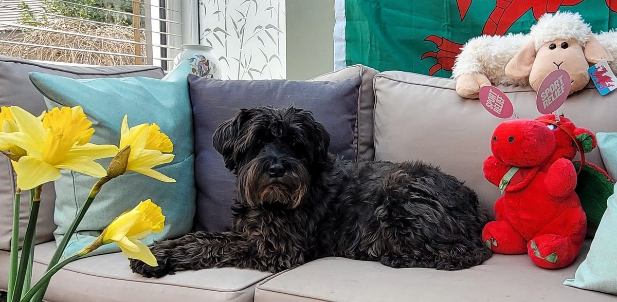 Happy St David's Day! #DyddGwylDewiHapus
Happy Pancake Day! #ShroveTuesday
Happy First Day of Spring!🌷

To celebrate, I'm doing a #RandomActOfWelshness by giving this prize to one of you.

FOLLOW &amp; RETWEET to be in with a chance!

Winner chosen at random; UK only, ends 8pm today