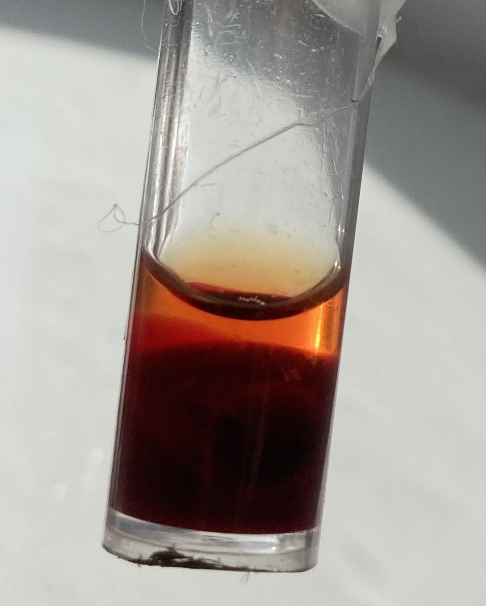 SparkingStem's tweet photo. Quite chuffed with my home- centrifuged (i.e glued to a drill) blood sample! The things I do for #STEMed ! 😂 #education #STEM #onlinestem #homeed #homeducation #homeschool #onlinelearning https://t.co/TLn8vl25bx