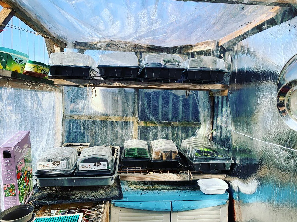EGPhotography7's tweet photo. Planting has started and even managed to knock together a new potting table! 
#growyourown #gardening #GardeningTwitter #upcycling #wonkystabhazards https://t.co/sITdIbo4SY