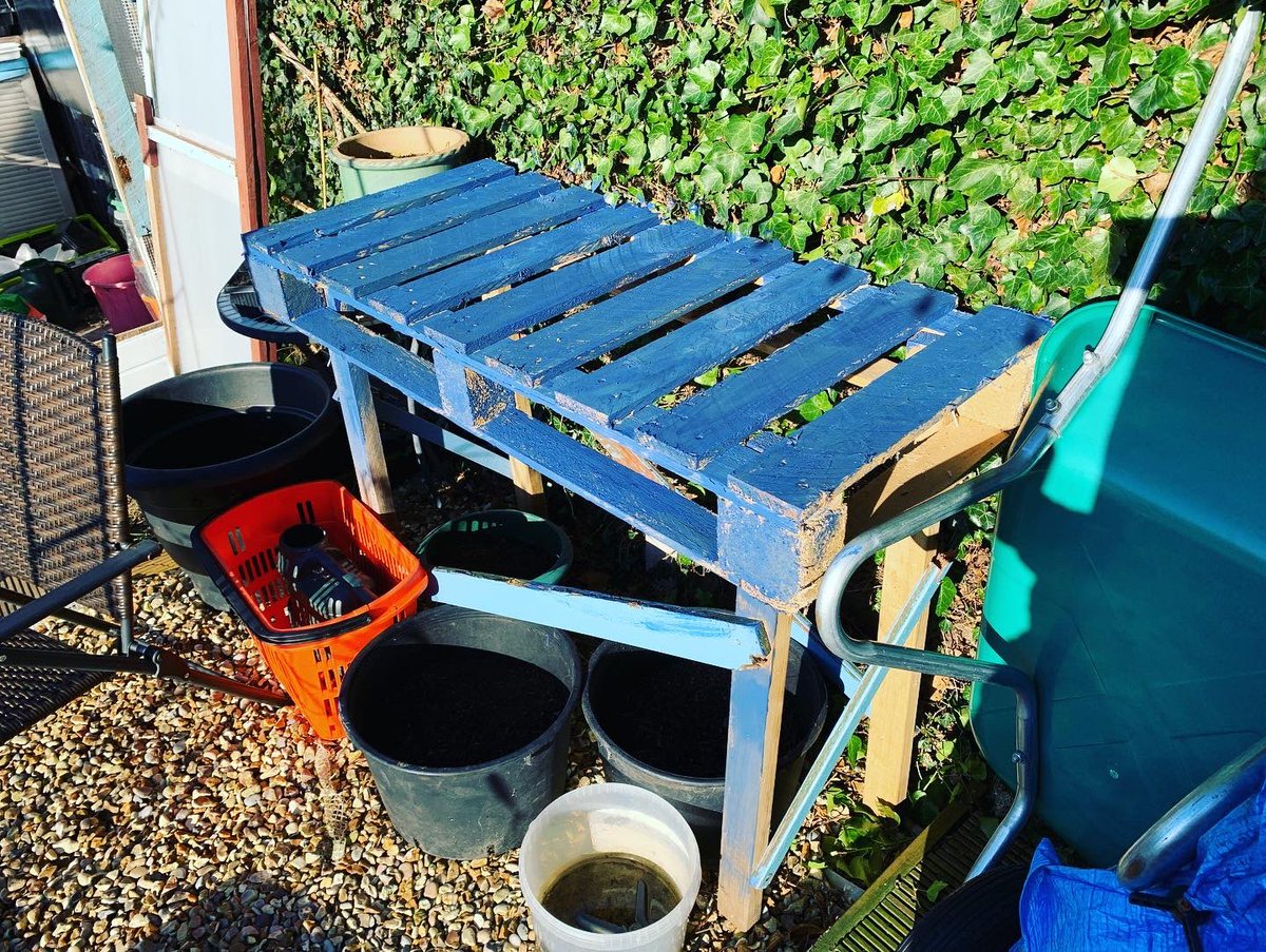 EGPhotography7's tweet photo. Planting has started and even managed to knock together a new potting table! 
#growyourown #gardening #GardeningTwitter #upcycling #wonkystabhazards https://t.co/sITdIbo4SY