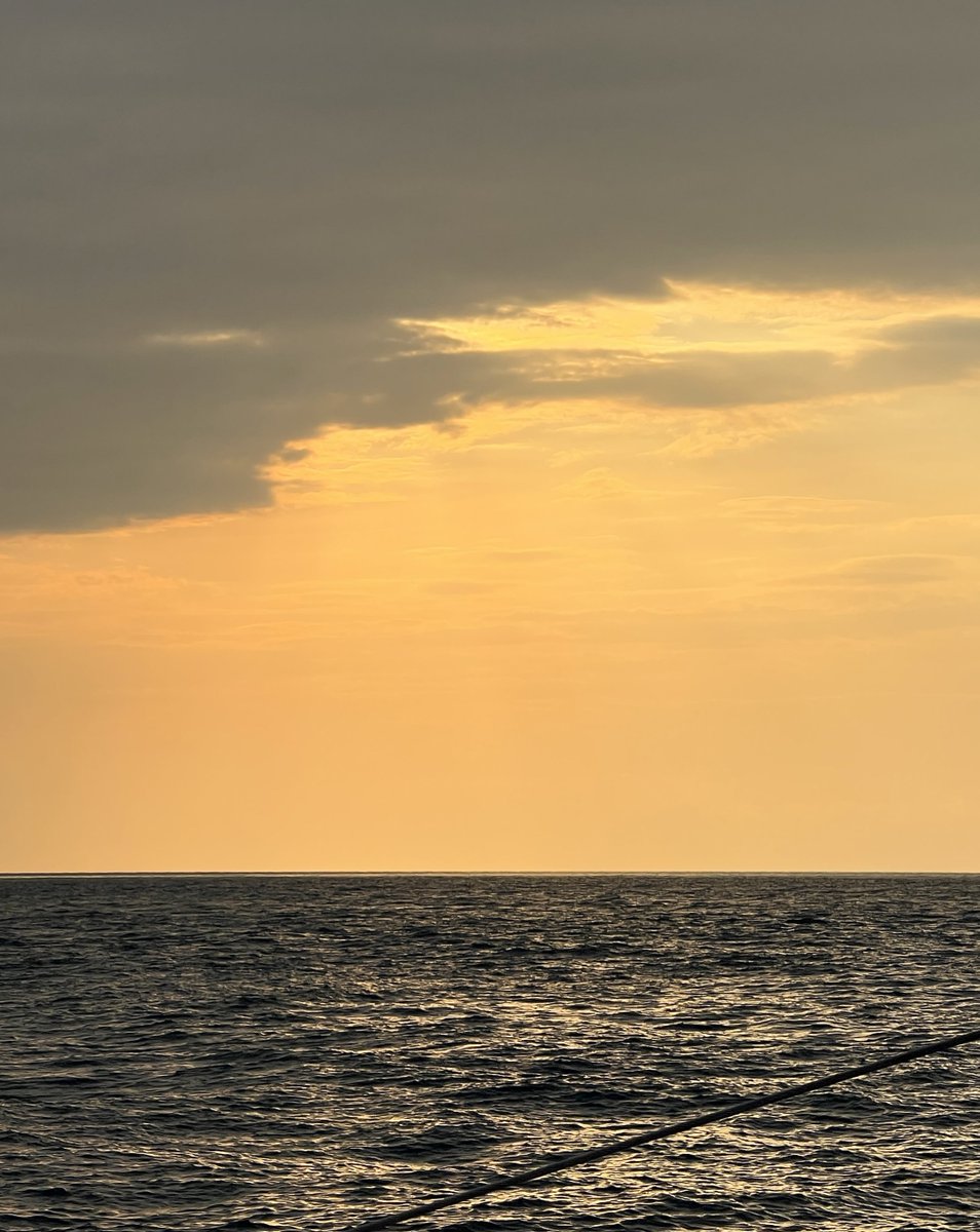 you’re so golden 🌅 𓂃 ꙳