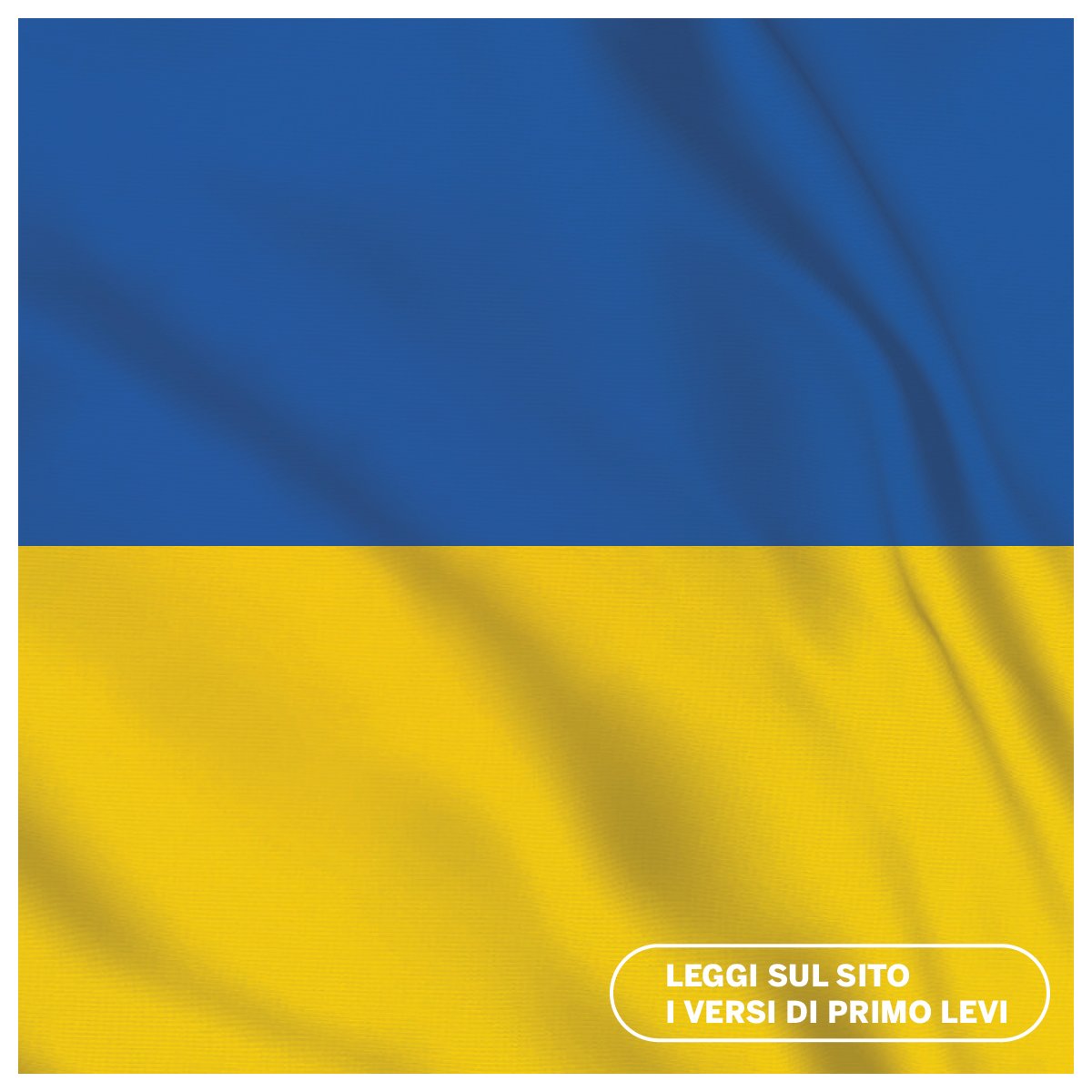 FAI_Basilicata tweet media