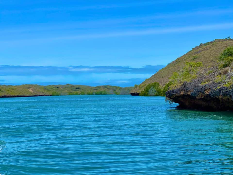 mwalim_bwana's tweet photo. This is a #Koyame Island in Lower Jubba, which is 45 KM away from Kismayo on the south. 🛶 

#Koyame  #Islands 📍 https://t.co/fer9kRcFS0