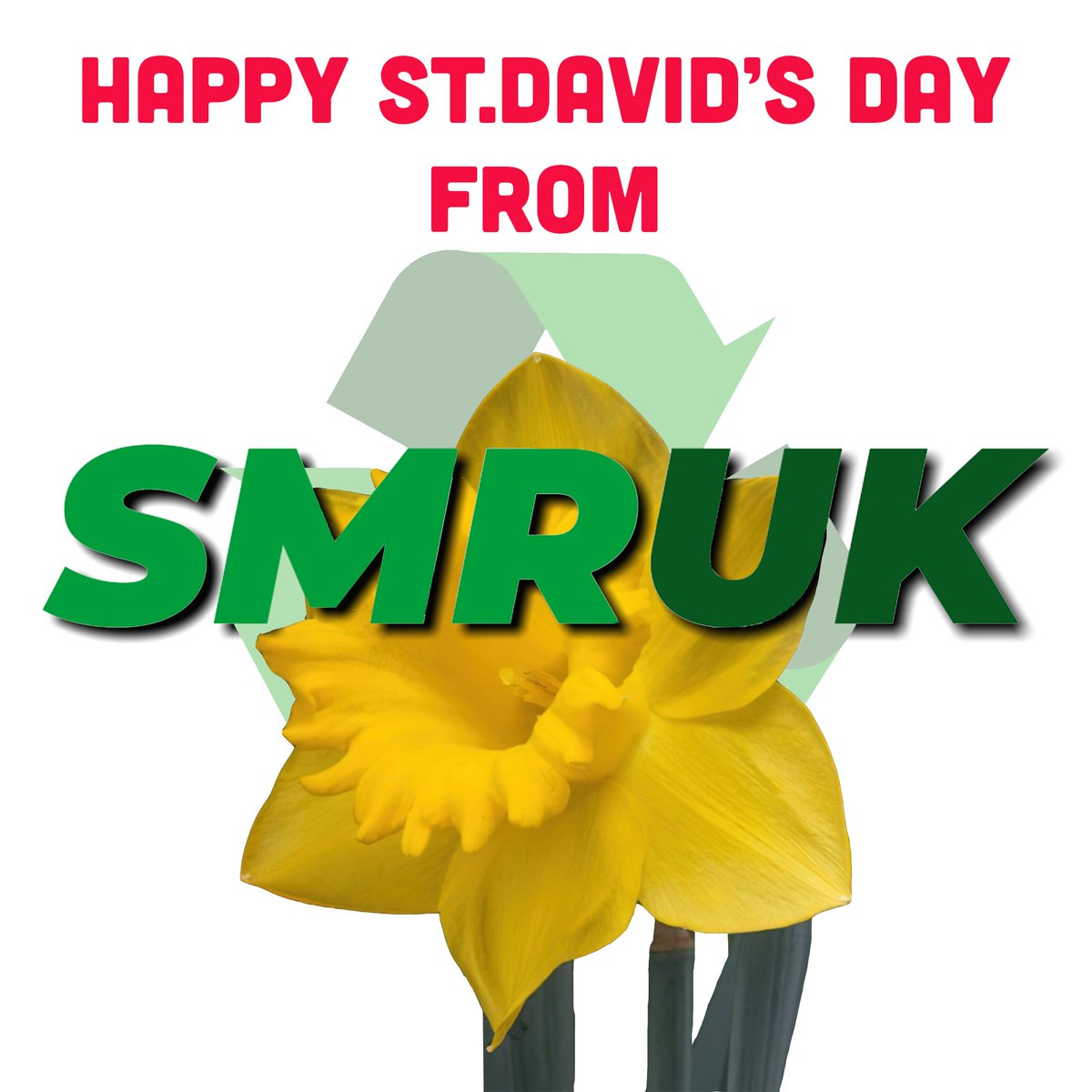smrukltd's tweet photo. Dydd Gŵyl Dewi Hapus! 🏴󠁧󠁢󠁷󠁬󠁳󠁿

Happy St.David’s Day from all of us at SMRUK.🌼 https://t.co/5YScRuUokM