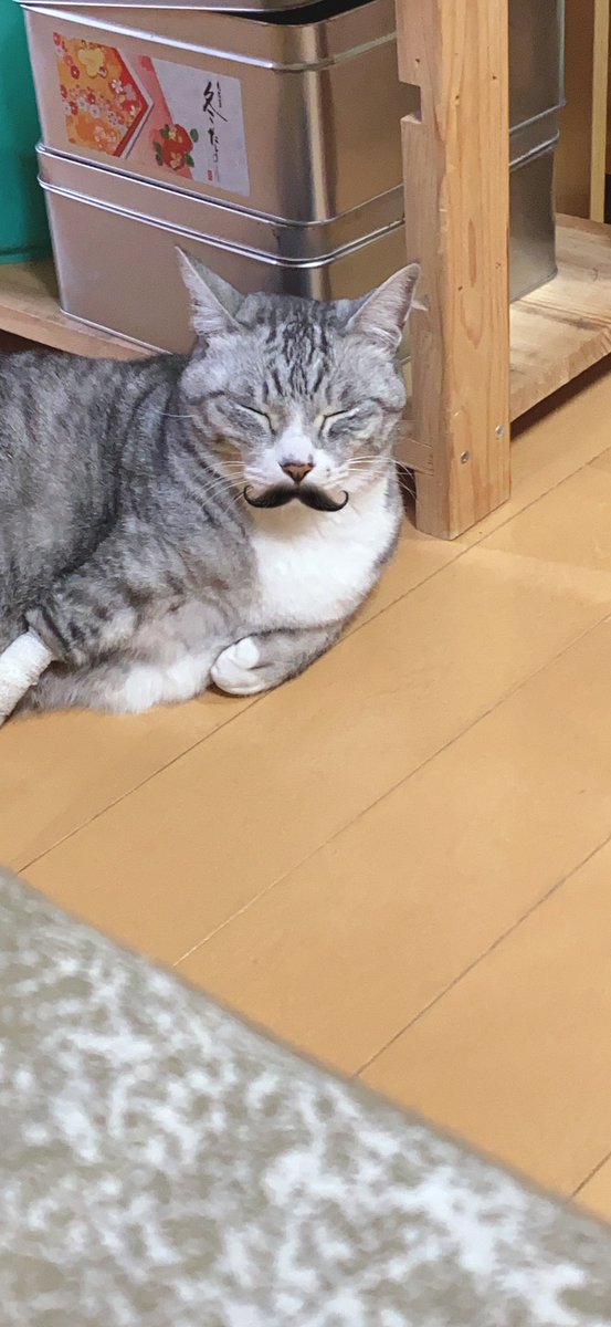 Akito (@jusu6ywgdu9gshm) on Twitter photo 