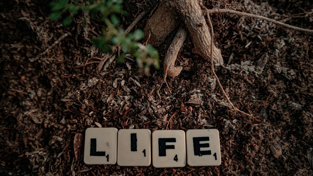 Soil is a living, dynamic, and precious substance that’s deeply affected by how we manage our land and resources.

With the right composition, care, and natural cycling, soil supports entire ecosystems.

We aim to facilitate sustainable soil management.
👉bit.ly/3tvnbrd