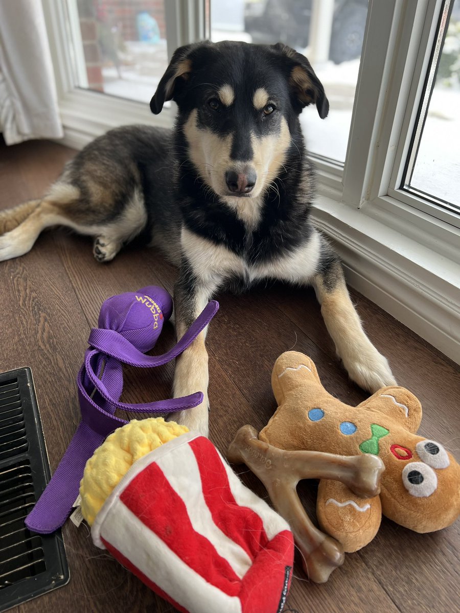 Happy March 1st 🤍🤍