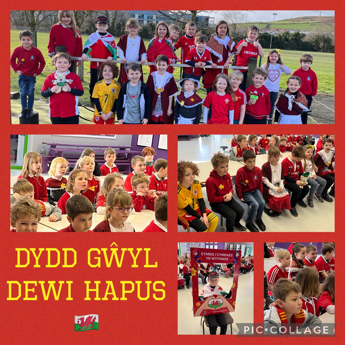 #DyddGwylDewiHapus 🏴󠁧󠁢󠁷󠁬󠁳󠁿