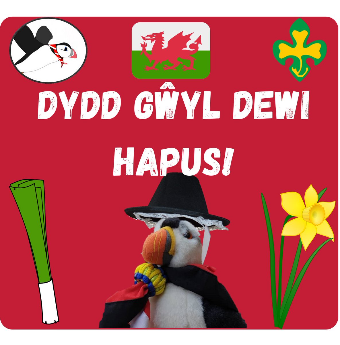 Happy St David's Day from SSAGO USW and Pâl! 🏴󠁧󠁢󠁷󠁬󠁳󠁿
What are you doing today to celebrate?