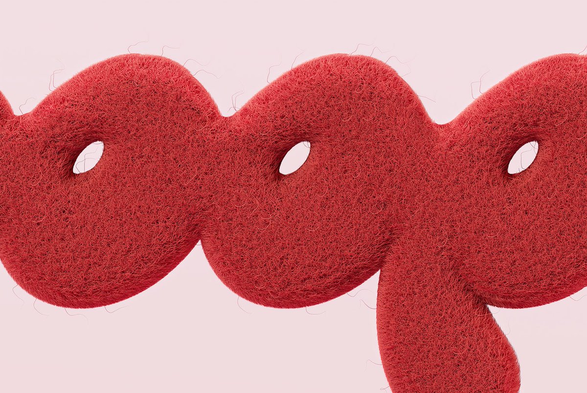 visuelle tweet media