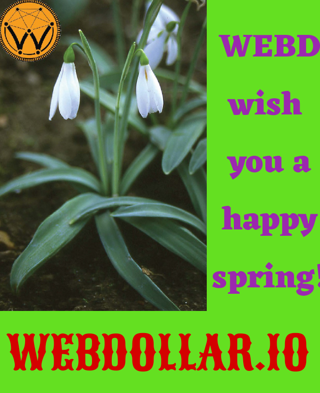 WebDollar tweet media