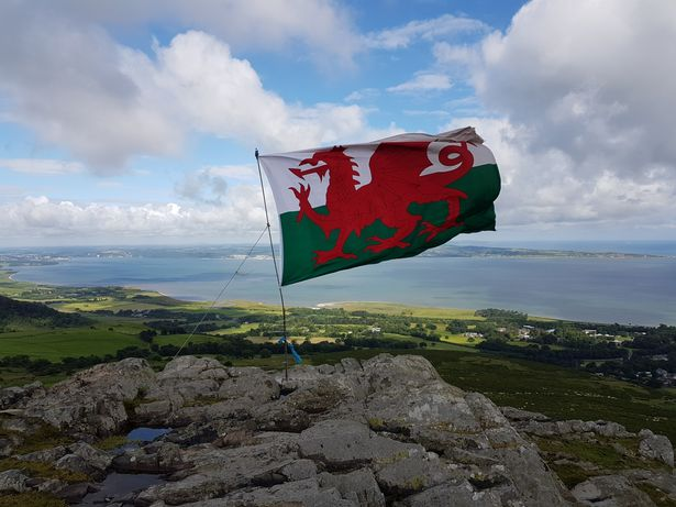 Nation_Wilcox's tweet photo. Happy St David’s Day.  Dydd Gŵyl Dewi Hapus https://t.co/2bwwBS7byN