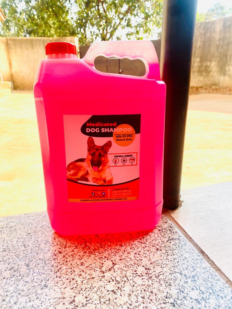 BugembeNelson's tweet photo. My next client is on your TL kindly Retweet🙏

#MedicatedDogShampoo https://t.co/LBhjDYMJrV