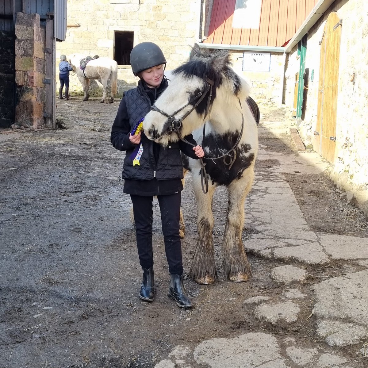 SmallScottish's tweet image. Unpopular opinion... Ponies are more fun than horses. Also cobs are the best 😅
(Very tired me)
@polscothorses @SiDix67