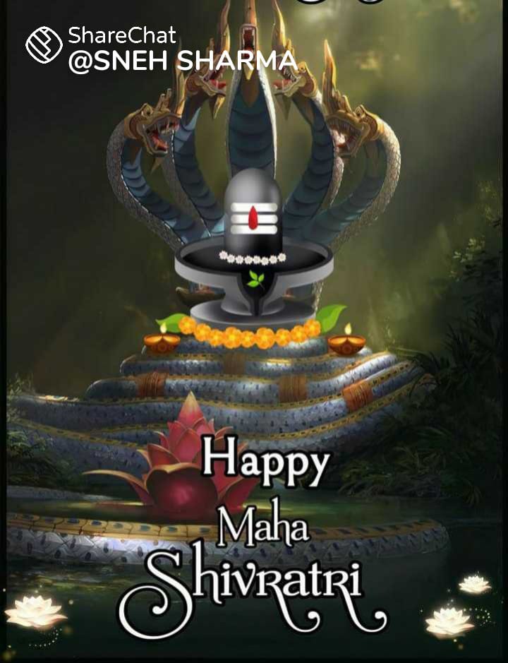 SinghThenidhi's tweet photo. https://t.co/z3OjwtgNMg