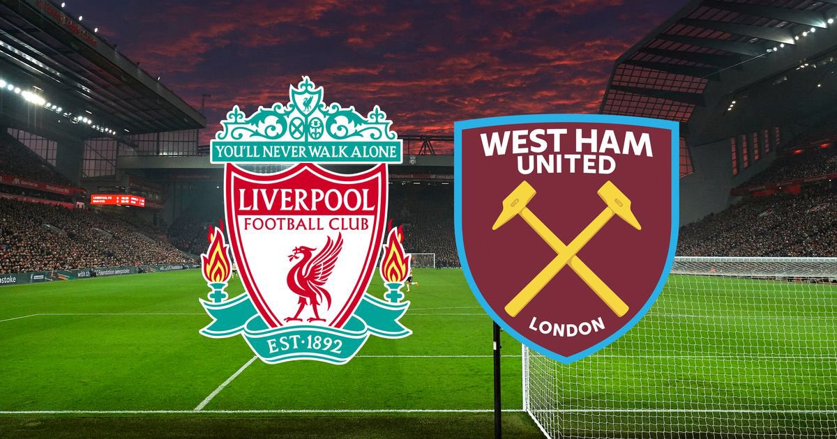 YNWA22 tweet media
