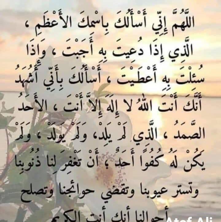 Nejat Bint islam (@islamnejat) on Twitter photo 