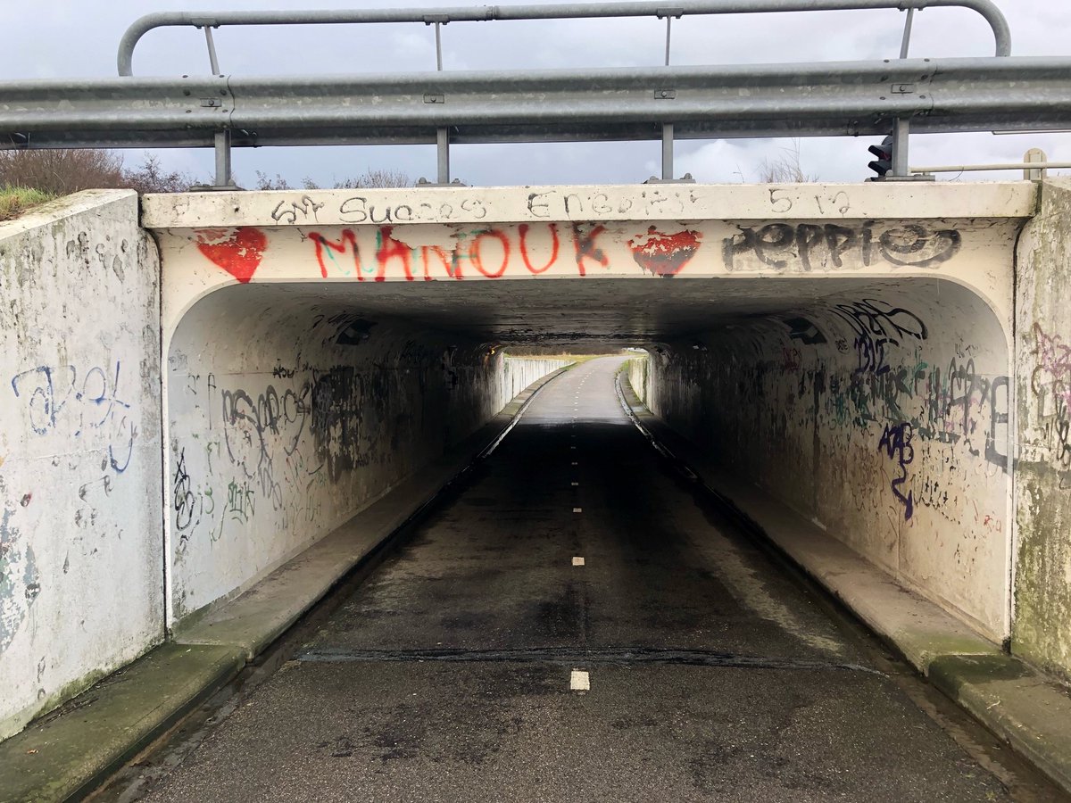 RWS_SAA's tweet photo. Op #Valentijnsdag startten wij onze zoektocht naar Manouk. En het is gelukt. Dé Manouk liet van zich horen en vertelde waarom haar naam zo vaak op het fietstunneltje aan de zuidkant van de #A9 bij de Schipholweg staat.❤️
Haar verhaal lees je op onze site👉https://t.co/kLAWpbZbZh https://t.co/Bc1zHf3Qpz