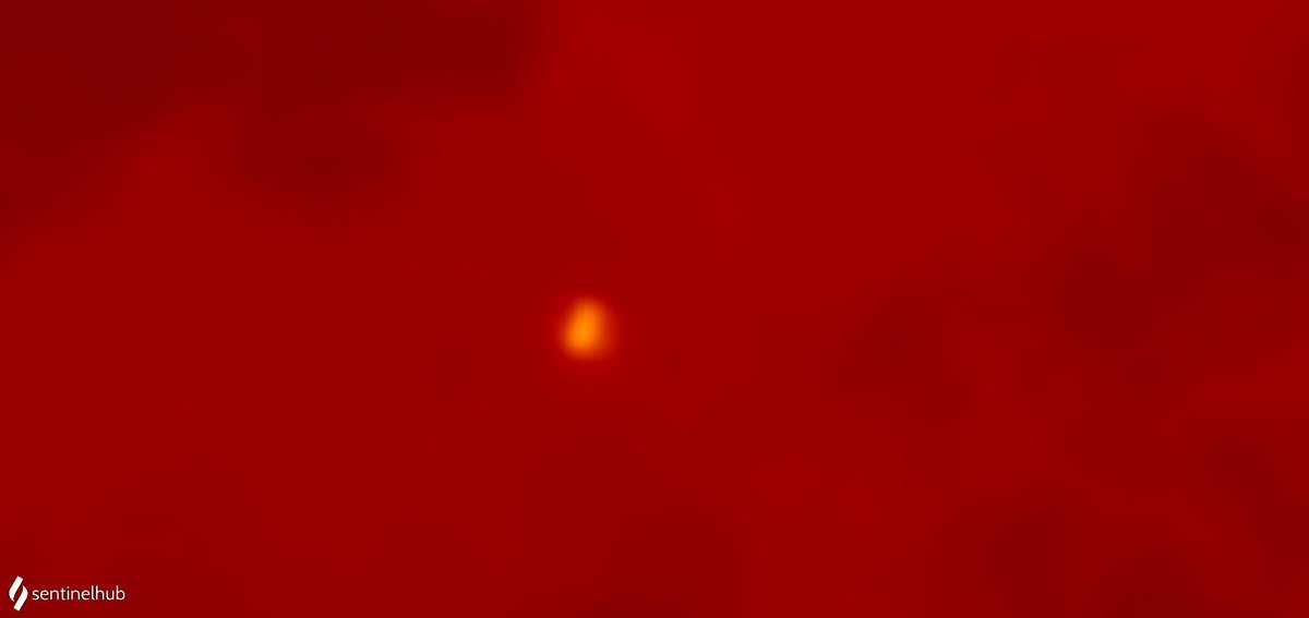 Military Intelligence tweet media