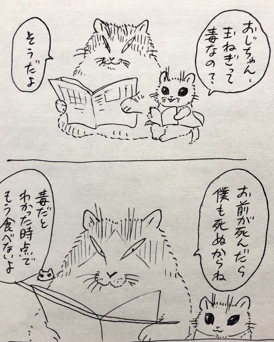 姪が命より可愛い若おじ巨猫 