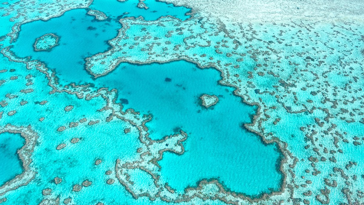 TNFD_'s tweet photo. New @IPCC_CH report shows that #climatechange is already causing observable changes in ecosystems.
The latest assessment considers the interdependence between #climate and #biodiversity to a much greater extent than previous reports.

Read more: https://t.co/p4oxSwRY16
#IPCC https://t.co/DCanPGxQiL