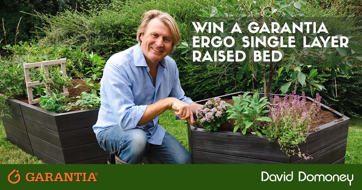 daviddomoney's tweet photo. #Follow 
#RT &amp; 
Comment #WinWithDavidDomoney 

For the chance to win a Garantia Ergo Single Layer Raised Bed.

Closes 31/03/22
UK Residents Only
T&amp;C's Apply

#WinItWednesday #FreebieFriday #PaidPartnership https://t.co/Lk5cFdiDwL