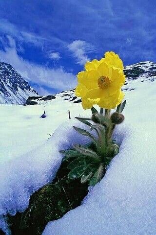 🌷 С первым днём весны!