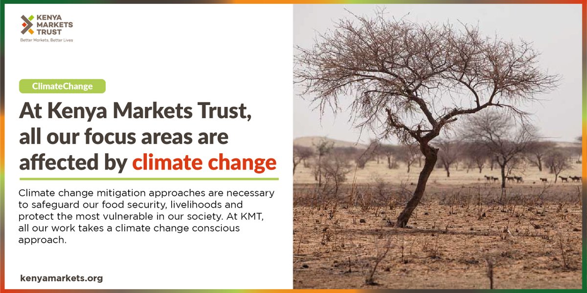 All our focus areas are affected by #climatechange.

Kenya's #livestock sector is among the hardest hit. It's estimated due to the 2017 - 2018 droughts; there was a 5.3% rise in livestock sales to avoid death of the animals through hunger and thirst.

More
kenyamarkets.org/climate-change/