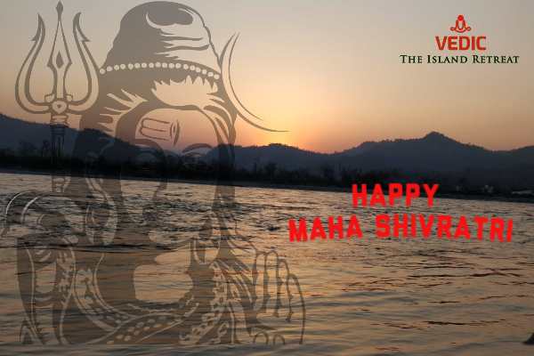 vedic_the's tweet photo. Happy Maha Shiv Ratri

#MAHASHIVRATRI #HAPPYMAHASHIVRATRI #SHIVRATRI2022 #VEDICISLANDRETREAT #VEDIC #retreat #island #ganges  #haridwar

For more information please call: 0120 3511940 / +91 
8860 961 961

Email: info@vedicislandretreat.com
Website: https://t.co/ZO6xuxNoIX https://t.co/LbSI9e2e29
