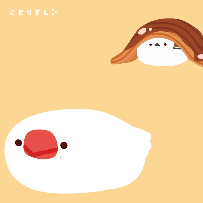 白文鳥のtwitterイラスト検索結果