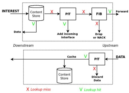 Data examples. Name data networks. Name field. Organization name. Управление транзакциями, кэширование.