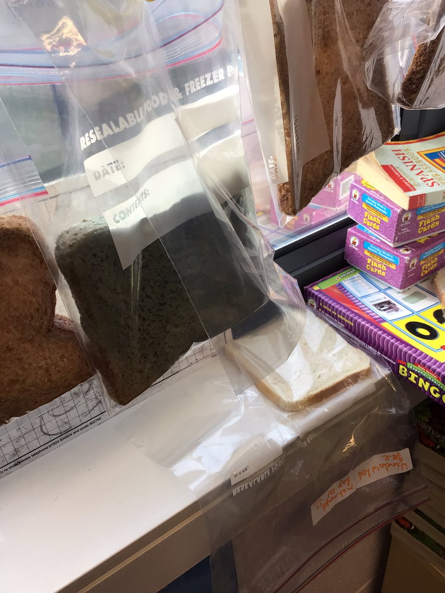 Day 17 of our Microorganism investigation <a href="/AldiUK/">Aldi Stores UK</a> can you help us to explain why only some of your bread has gone mouldy whilst others have remained mould free in the same conditions? #scienceinvestigation <a href="/HolyFamilyScie1/">Holy Family Science</a>