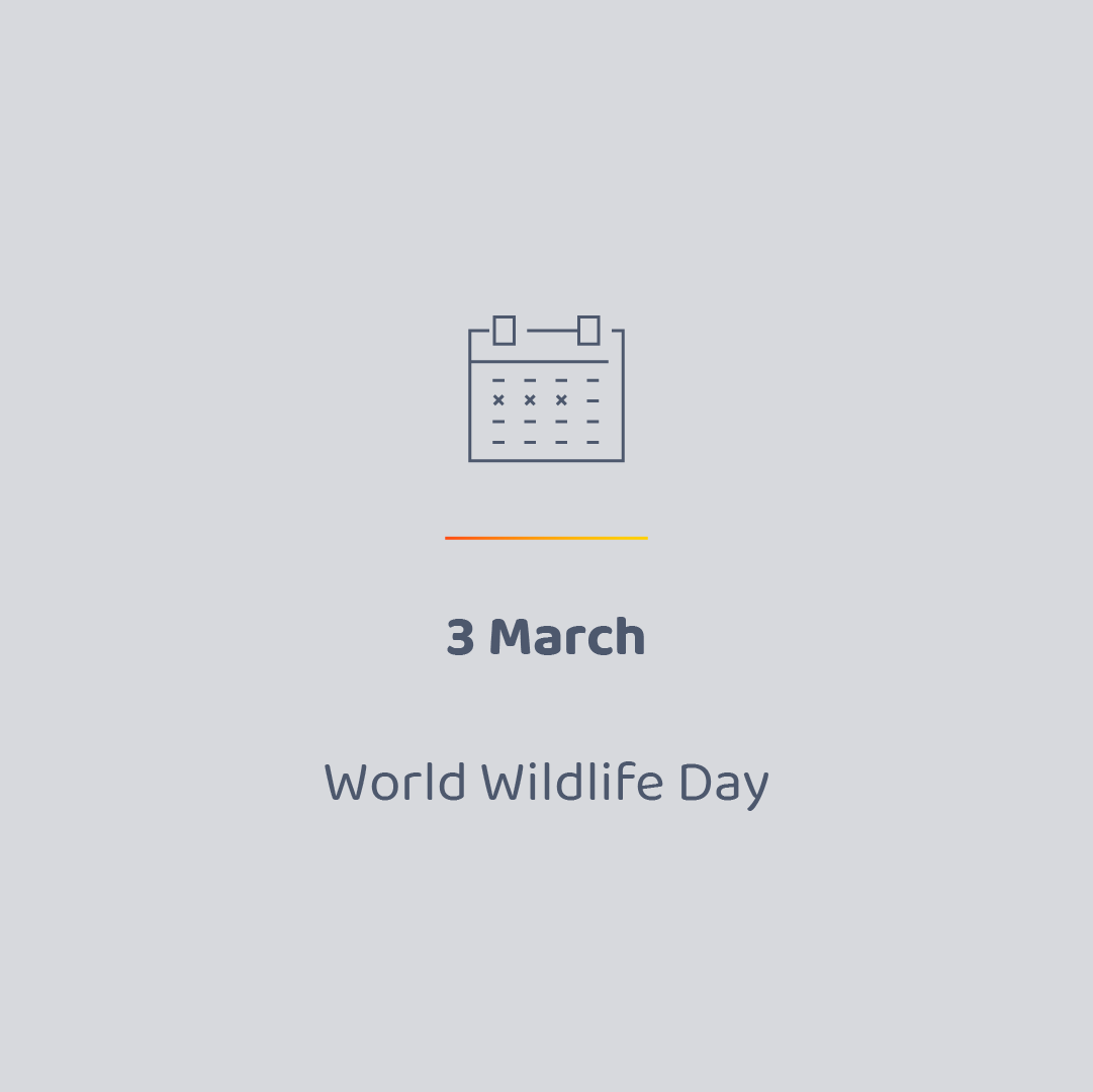 AVirtual_UK's tweet photo. Here are some upcoming dates for special occasions / national celebrations that you might want to focus on in your #socialmedia content.

Not sure how to take advantage of these opportunities?

Chat to one of our Virtual Marketing Assistants: https://t.co/CfWya4ONRy https://t.co/0W2Ky31QZg