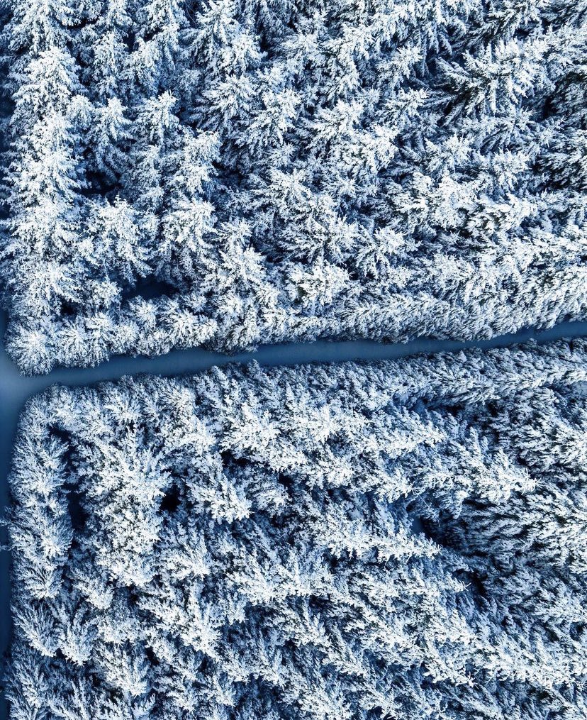 Calabria Travel Experience tweet media