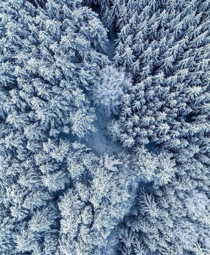 Calabria Travel Experience tweet media