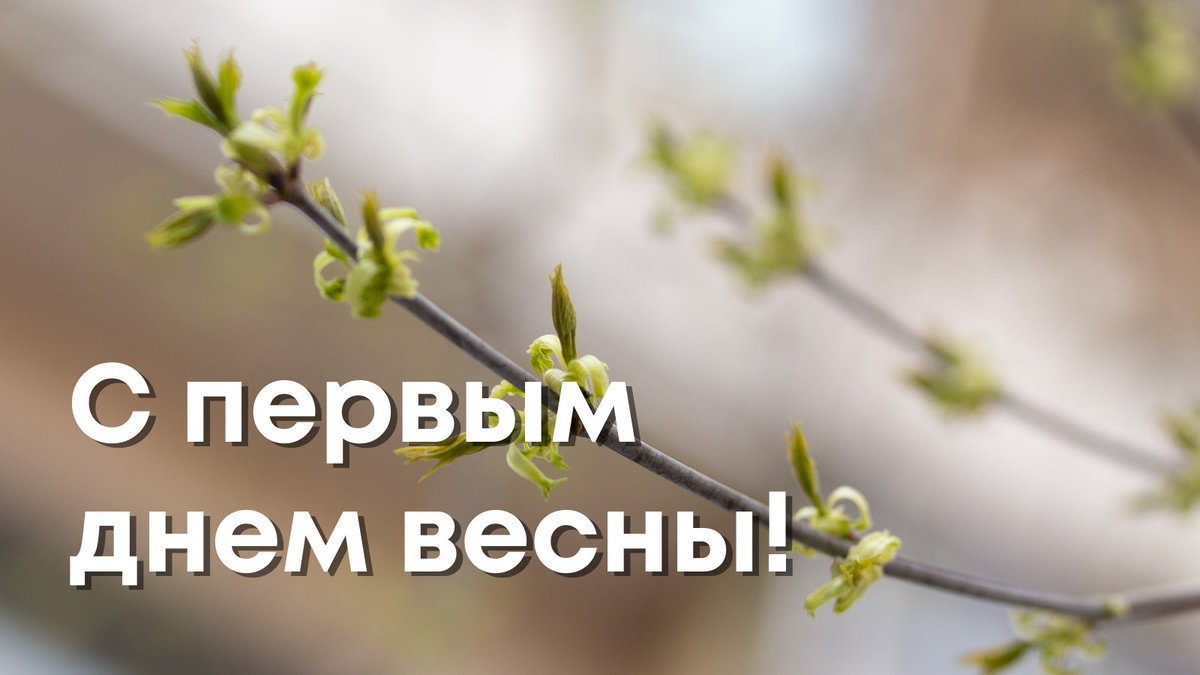 urfu's tweet photo. Пусть эта весна принесет каждому что-то светлое, теплое, яркое и хорошее🌸 https://t.co/n5vWKTWt4e