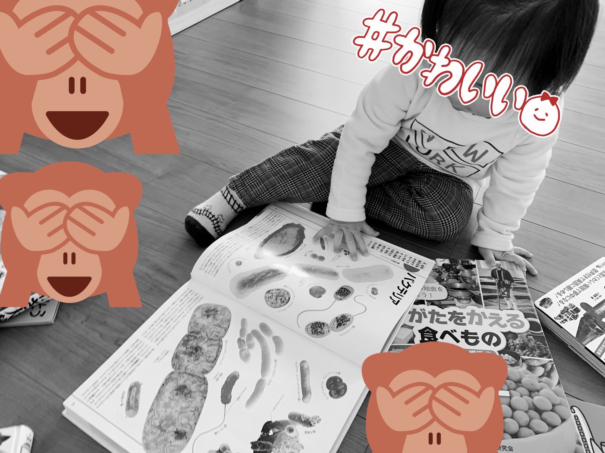 Akane𓂃 𓈒𓐍 ᴿ 2y 理系男子https T Co Vyaqgqrgr0 Twitter Akane𓂃 𓈒𓐍 ᴿ 2y 理系男子https T Co Vyaqgqrgr0 Twitter
