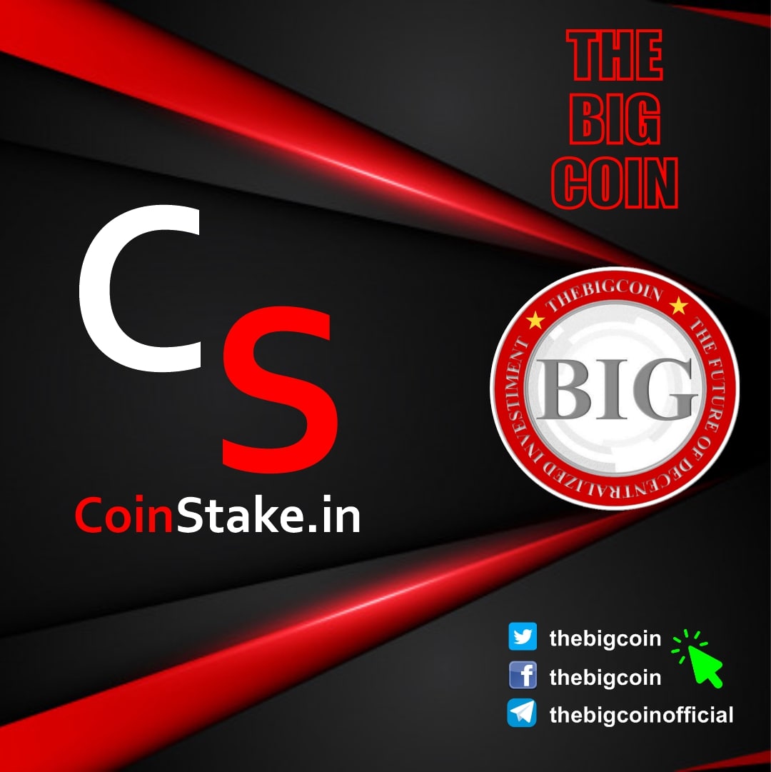 TheBigCoin The Future of Decentralized Investment tweet media