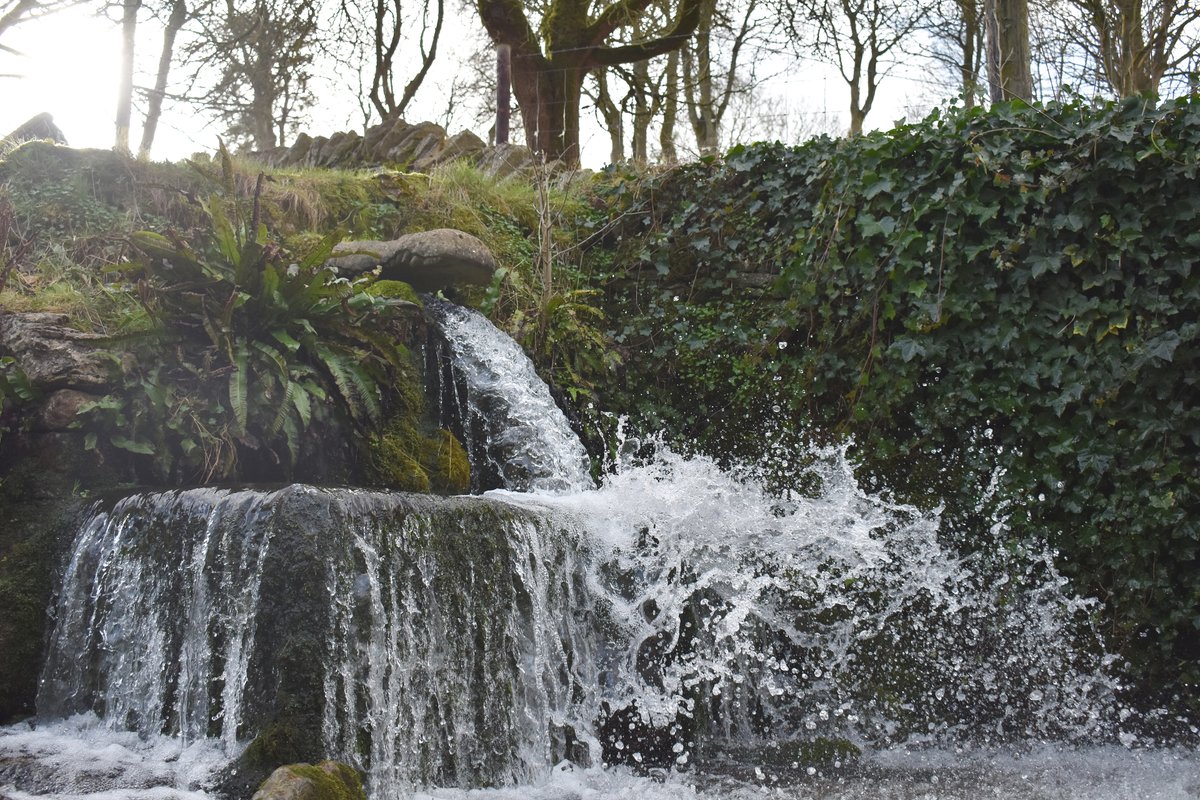 southwoldbarn's tweet photo. The focal point of Compton Abdale is a spring-fed brook which emerges from a "crocodile" head constructed from stone by a local mason. #cotwolds #comptonabdale #crocodile #springfed https://t.co/4I9Adawd7B
