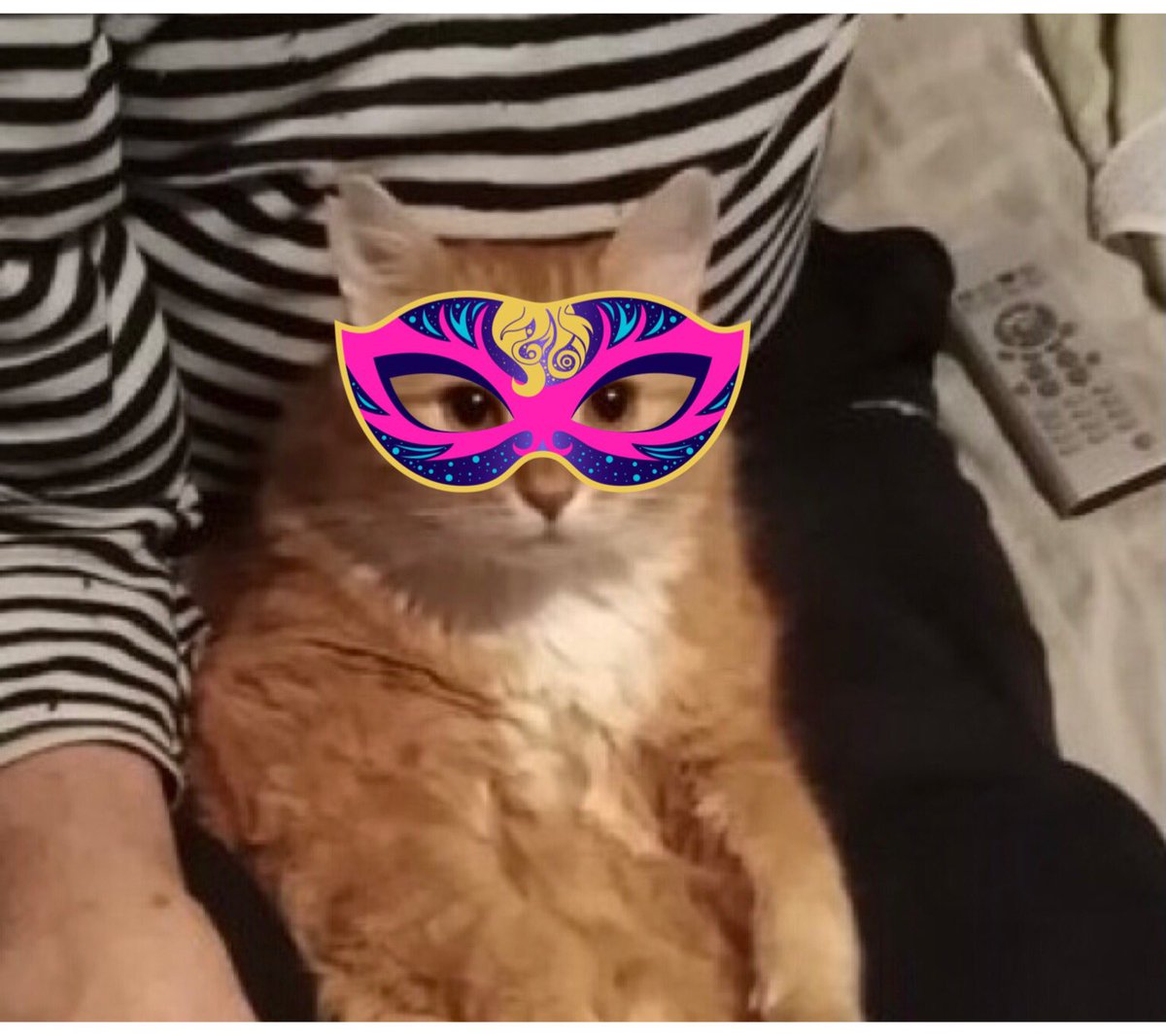 Angel 🌈 Captain Jerry - RIP 1.8.2013-17.6.2025 tweet media