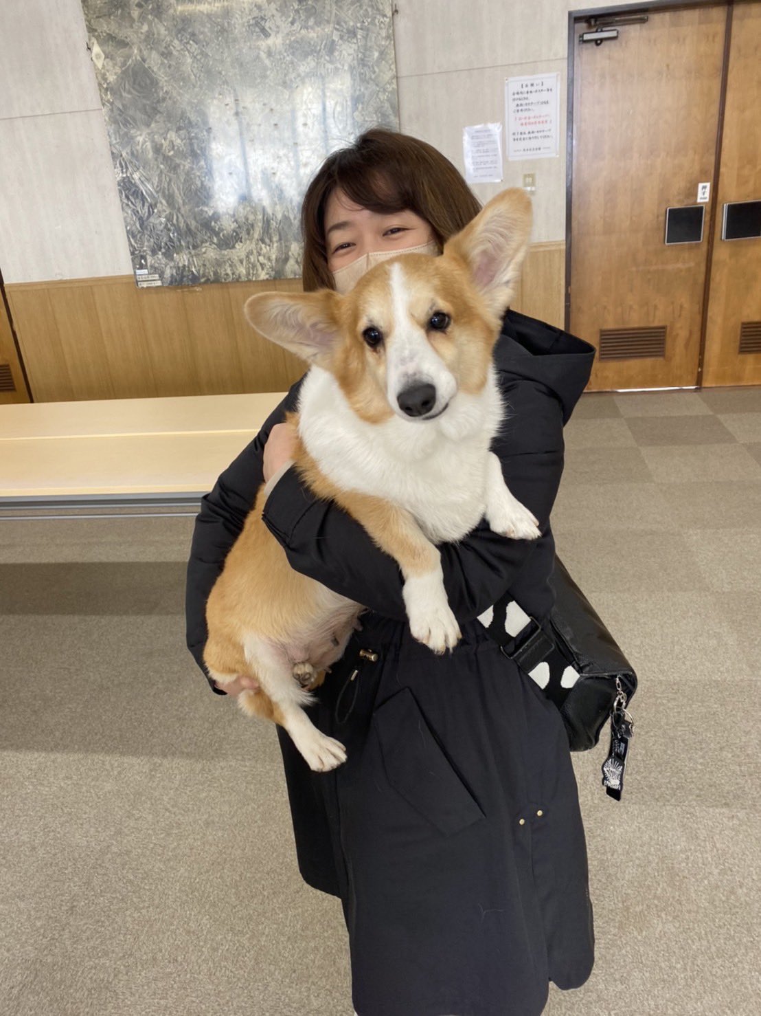 北海道ペット事業協同組合 犬猫里親譲渡会のおしらせ 3月19日土曜日 10時30分から16時 札幌市東区 伏古記念会館で犬 猫の里親譲渡会を開催致します 見学無料 里親犬 里親猫 里親募集中 譲渡会 里親譲渡会 里親 ブリーダーリタイヤ犬 北海道ペット事業協同組合 犬猫里親譲渡会のおしらせ 3月19日土曜日 10時30分から16時 札幌市東区 伏古記念会館で犬 猫の里親譲渡会を開催致します 見学無料 里親犬 里親猫 里親募集中 譲渡会 里親譲渡会 里親 ブリーダーリタイヤ犬