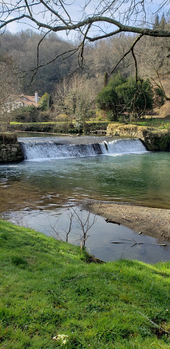 Visiting <a href="/inrae_ecobiop/">Ecobiop</a> fish trap at River Nivelle 🐟☀️ #nowpas2022 #fishmigrations