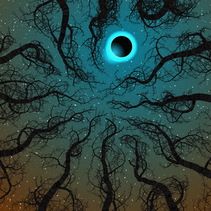 FriezNl's tweet photo. Just saw the output of my mint yesterday from @KilledByAPixel 

Got myself an eclipse during winter, pretty cool!

https://t.co/ubS75YFddq https://t.co/EXkAFAa7o4
