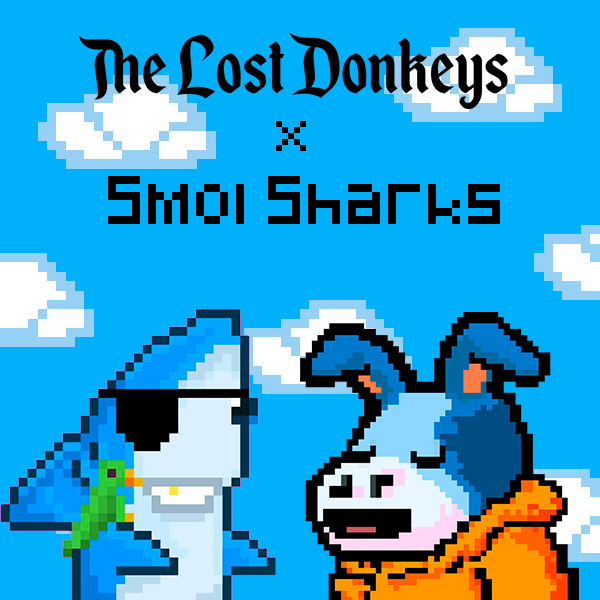 The Lost Donkeys 🥕 tweet media