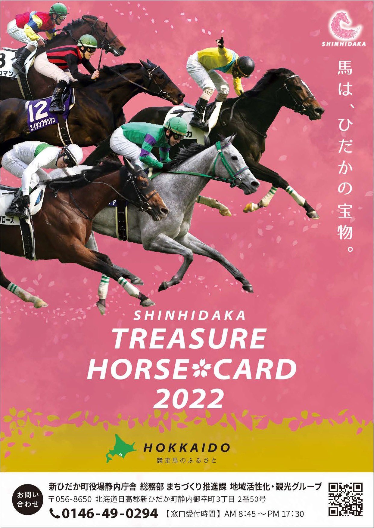 HIDAKA HORSE CARDS 日高ホースカード 競馬 トレカ 競走馬