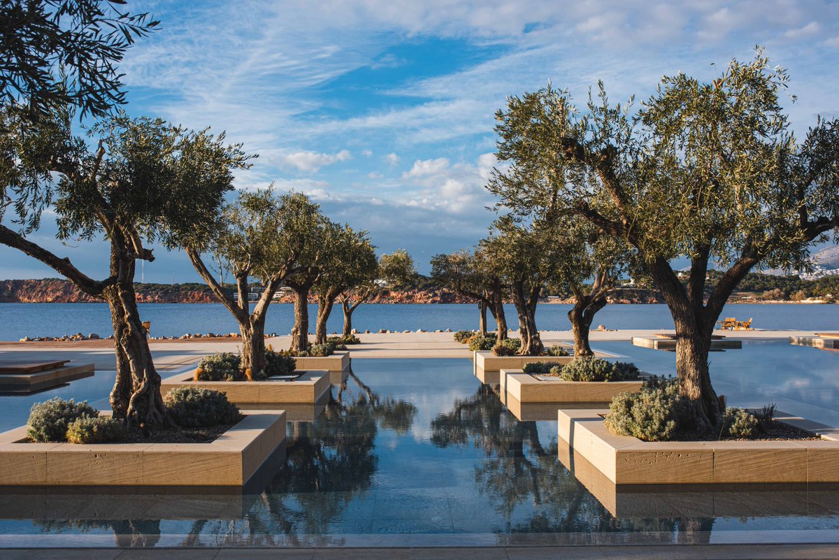 Olive trees overcast a warm day at Nafsika Pool, that provides a glimpse into a promising new month. 
#FSAthens
Picture @stef_greece

Καλό μήνα απο την πισίνα του Ναυσικά! Ανυπομονούμε να ζήσουμε μαζί έναν πολλά υποσχόμενο μήνα.