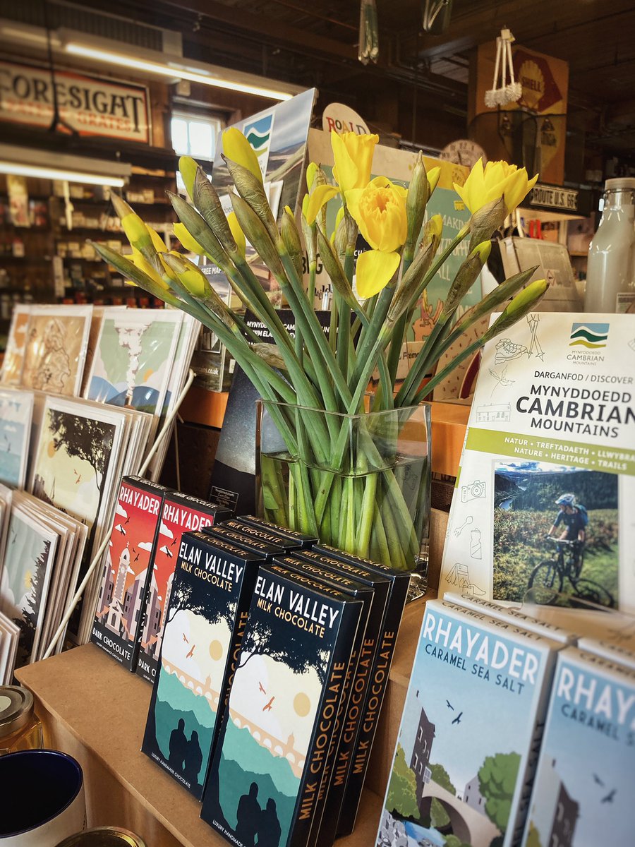 Dydd Gŵyl Dewi Hapus | Happy St David's Day 🏴󠁧󠁢󠁷󠁬󠁳󠁿
.
#RandomActsOfWelshness