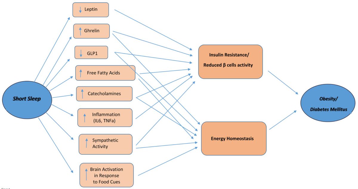 Journal of Endocrinology tweet media