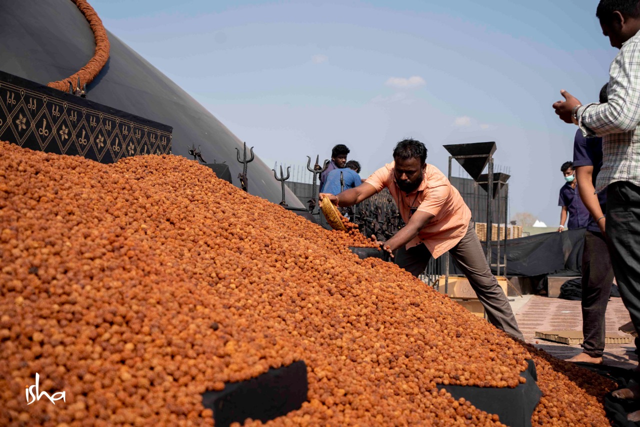 Isha Foundation on Twitter "Volunteers get into top gear as Mahashivratri 2022 preparations